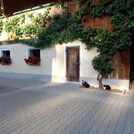 Landhof Ella - Ferienhaus Vor Den Toren Salzburgs Petting Eksteriør billede
