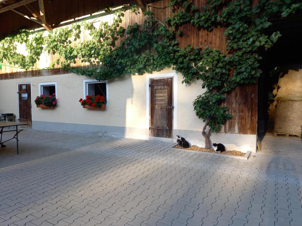 Landhof Ella - Ferienhaus Vor Den Toren Salzburgs Petting Eksteriør billede