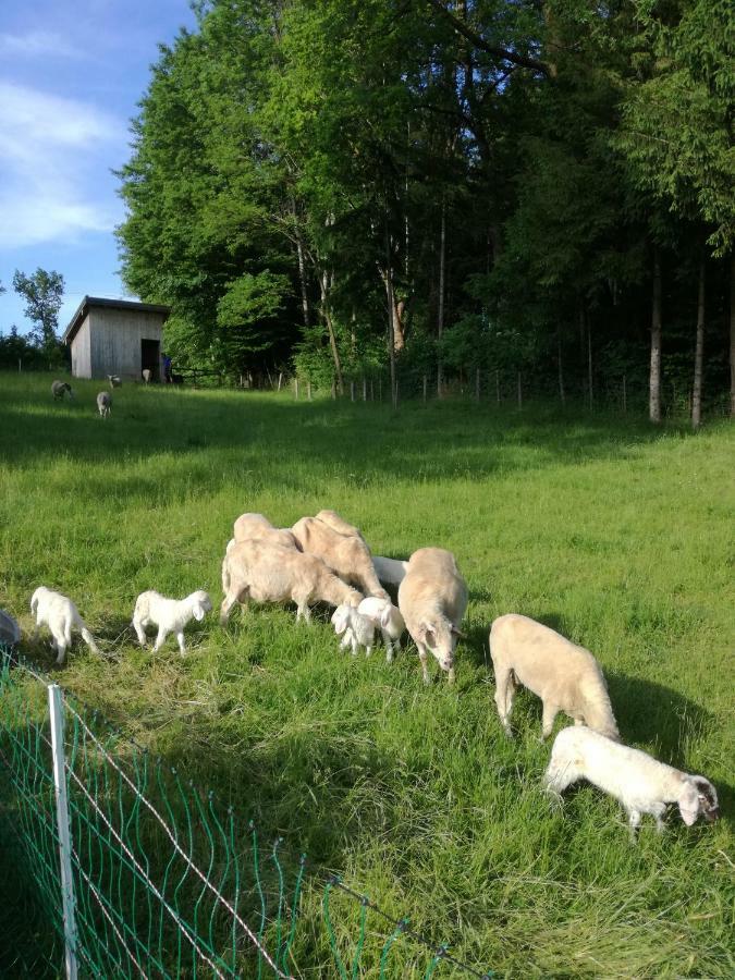 Landhof Ella - Ferienhaus Vor Den Toren Salzburgs Petting Eksteriør billede