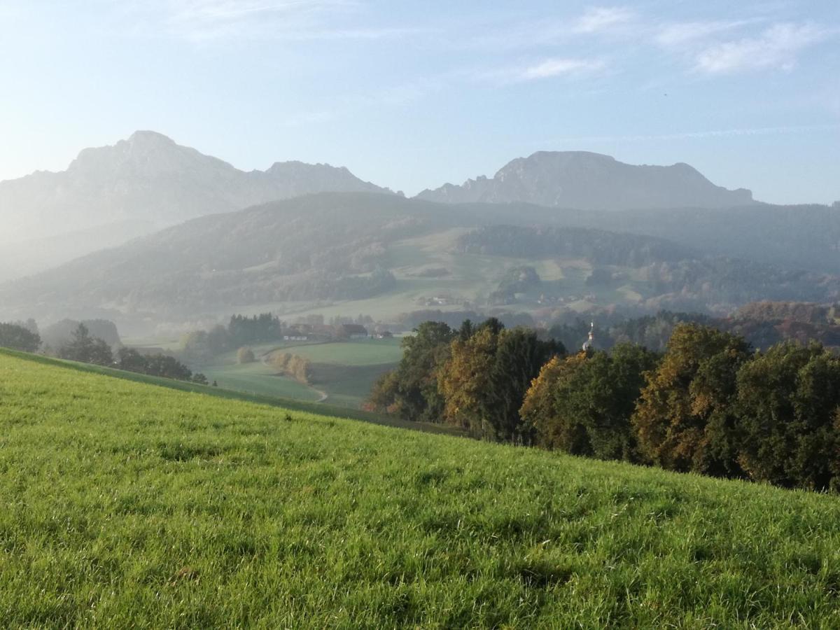 Landhof Ella - Ferienhaus Vor Den Toren Salzburgs Petting Eksteriør billede
